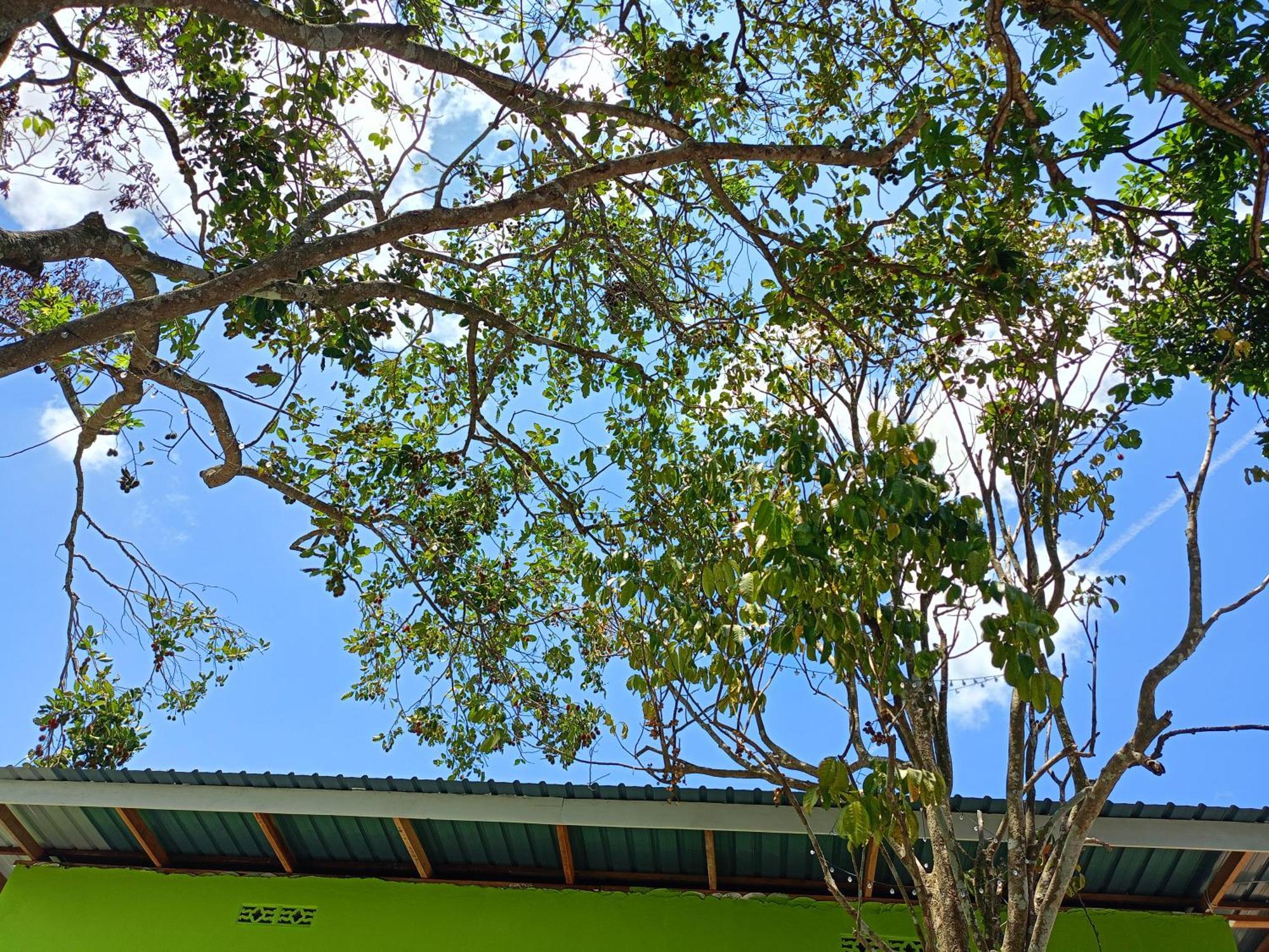 One Mek Studio Bachok Extérieur photo